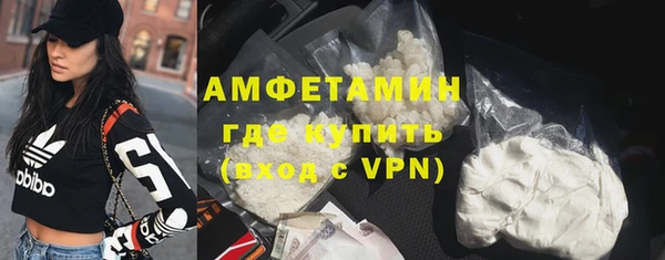 гидра Арсеньев