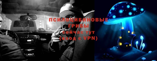 гидра Арсеньев