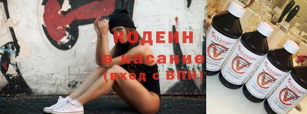 гидра Арсеньев