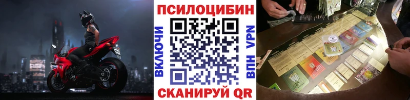 цена   Валдай  Псилоцибиновые грибы Cubensis 